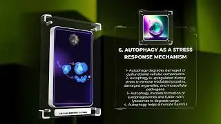 Cellular Response to Stress