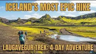 Laugavegur Trail Hike (4 Days) | Hut-to-Hut Trekking in Iceland
