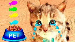 Cute Kitten Little Cat Adventure - Play Fun Pet Care - Preschool Educational Games #432