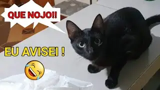 V1NGAN&Ccedil;4, TROLEI o J&uacute;lio na volta da academia kkk | J&uacute;lio e Eu