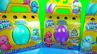 Little Live Pets Hatching Surprise Chick. Fun Hatching Egg Toy. So Cool Toy Makes Real Chick Sounds