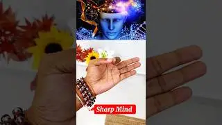 Daily Mudras🧠📈💯 #mind #brain #braintest #yoga #health #mudra #mindset #ytshorts #shorts #shiv #yogi