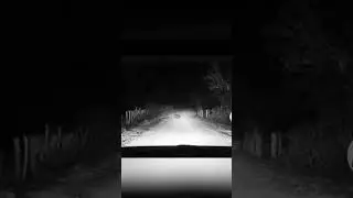 A terrible creature attacked people #fear #scary #nightcore #scream #creepy #furry