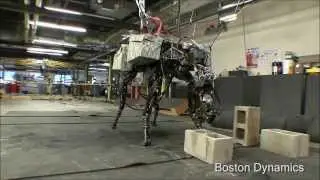Dynamic Manipulation Robot