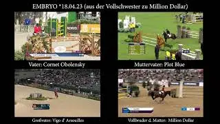 Highlight Sale in H&ouml;rup 2022 | Nr. 13 Embryo
