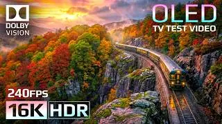 Most Colorful Nature in 16K HDR Dolby Vision 240fps (4K / 8K TV)
