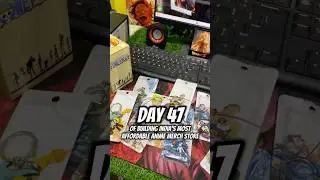 Building India&rsquo;s 🇮🇳 most Affordable anime merch store &ldquo;Day 47&rdquo;