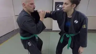 Shadow fighting Hon Gyaku jime armlock