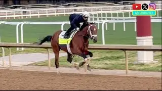 Journalism, Sovereignty, Rodriguez, and more Record Final Breezes: 2025 Kentucky Derby Training 4/27