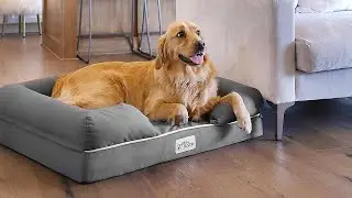 The 6 Best Dog Beds 2025