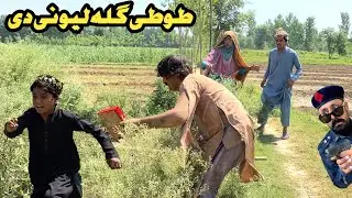 Tuti Gulla Lewany De || New Funny Video 2024 By Bebe Vines Plus