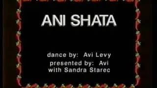 Ani Shata - אני שטה | Avi Levy - אבי לוי | Hora Keff 2000