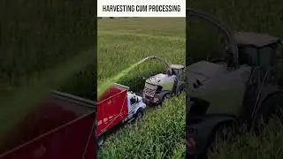 The AgTech revolution: Smart farming #shorts #youtubeshorts #viral #trending