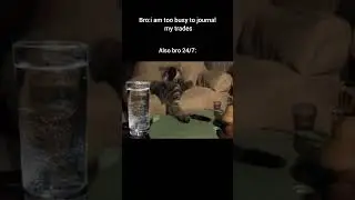 #shortsfeed #memes #shorts #trading #journal #funny #trader #fyp #explore #viral #trending