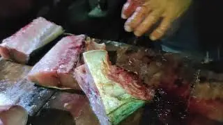 Catch Fish and Cut Fish | Fish Butchery | Traditional Cutting of Fish | Cutting Amberjack/Dogtooth