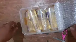 Unboxing Yellow Mascot HM Betta fish from Lazada!
