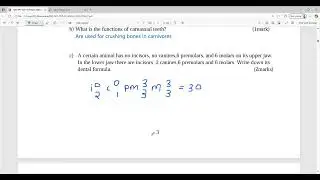 BIOLOGY PAPER 1 PREDICTION 2