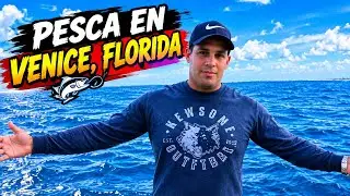 PESCA EN EL EMBARCADERO DE VENICE CON CARNADA VIVA, ATRAPAMOS ALGUNAS SIERRAS @allanabad