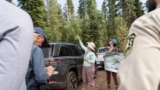 Ninth Forest Resilience Bond Launches: Yuba Aspen and Meadow I FRB