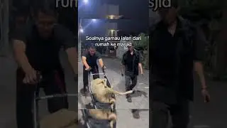 serba serbi idul adha 2023🗿kocak bikin tawa😂