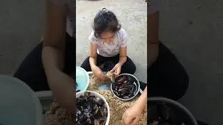MİDYE DOLMASI SARMASI