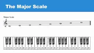 Lesson 7: Major Scale: Intro to Half-Steps & Whole-Steps