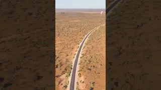 Водителю пришлось принимать решение за доли секунды после тревожного зрелища на австралийской дор...
