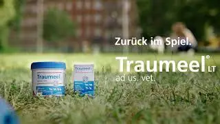 Traumeel&reg; LT ad us. vet. &ndash; Zur&uuml;ck im Spiel