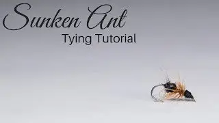Sunken Ant Fly Tying Tutorial
