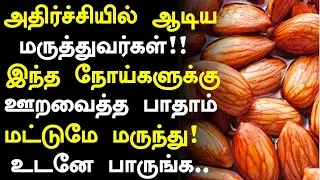 ஊறவைத்த பாதாம் நோய்க்கு மருந்து!| Almonds Health Benefits in Tamil| Badam Health Tips in Tamil