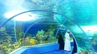 Tour At Fakieh Aquarium In Jeddah !!!! FULL HD!!