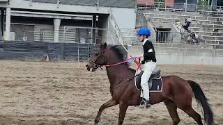 Equestrian Event at 2025 Royal Easter Show