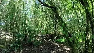 Scout Dike, Royd Moor Res Ingbirchworth 4K (walk) 27 June 19 (15a)