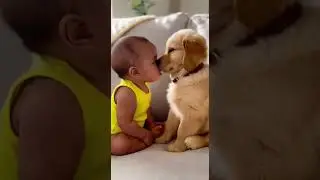 This Baby and Puppy&rsquo;s First Touch Will Melt Your Heart #dogs #viral #dogbreed #feelgoodvideo