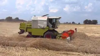 Żniwa 2014 Claas Dominator 150 Lamborghini R4 105 John Deere 5080R * HD