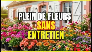 7 Plantes Qui Explosent de Fleurs Sans Aucun Entretien