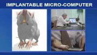Biotelemetry.avi
