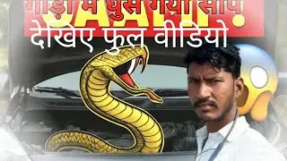 #SnakeInCar #CarSafetyTips #SaampGadiMein #DesiJugaad #CarHack #ViralVideo #EmergencyTips
