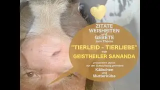 TIERLEID - TIERLIEBE 02