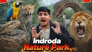Let's Explore Indroda International park #blogging #indrodapark #vlogs #treveling 