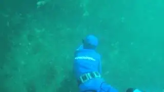 Zeph spears a butterfish at 8.6 m