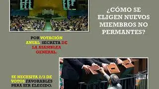 Consejo de Seguridad  de Naciones Unidas