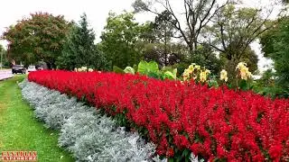 #CanadianExplorerz #Fall Colours #Windsor Coventry Gardens #4k UHD #Canadian #Explorerz
