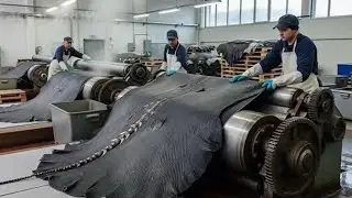 Inside a modern stingray leather factory | a multi-million dollar industry that drives the world