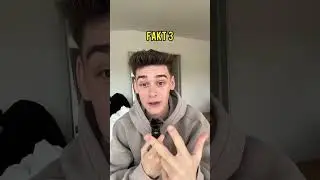 Habt ihr alle Staffeln Spotlight geschaut?