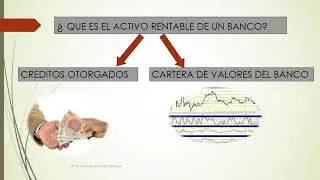 Comprendiendo la Contabilidad de Entidades Financieras.