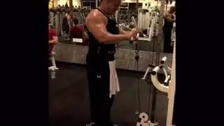 Reverse Grip Bicep Curl