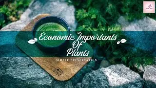 Economic Importance of Plants | Presentation | Creative Seeker's