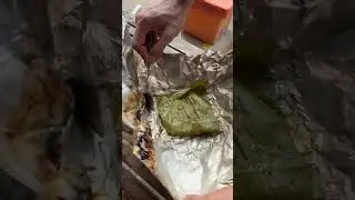 Yummy bee 😋😋