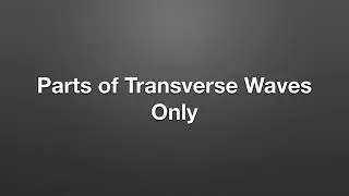 6.P.1.1 Wave Key Vocabulary